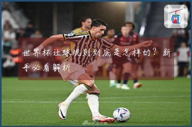 世界杯让球规则到底是怎样的？新手必看解析