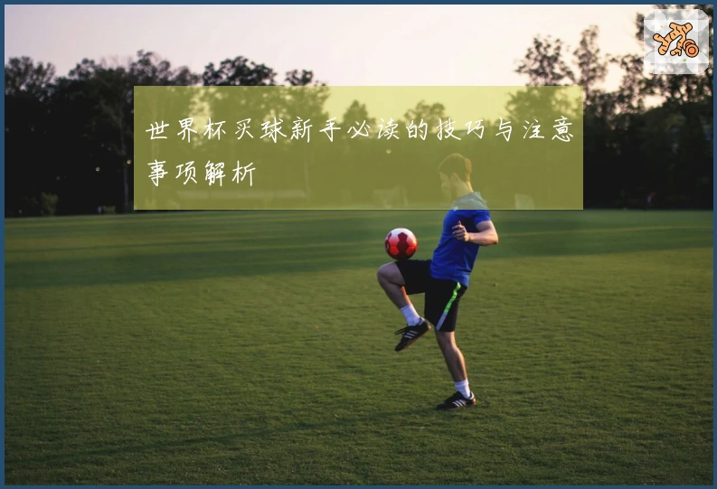 世界杯买球新手必读的技巧与注意事项解析