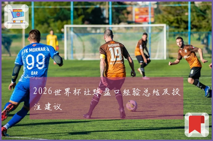 2026世界杯让球盘口经验总结及投注建议