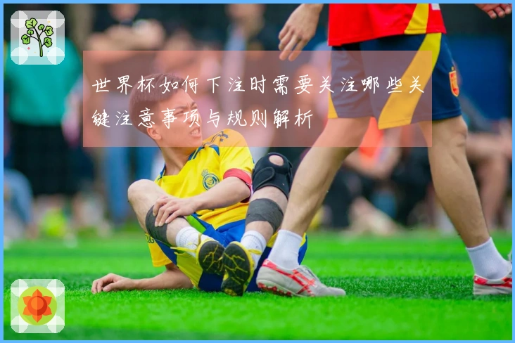 世界杯如何下注时需要关注哪些关键注意事项与规则解析