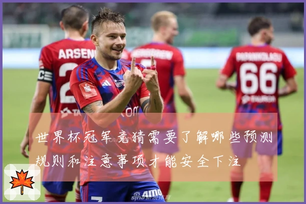 世界杯冠军竞猜需要了解哪些预测规则和注意事项才能安全下注
