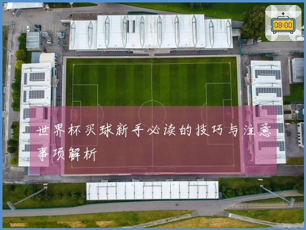 世界杯买球新手必读的技巧与注意事项解析