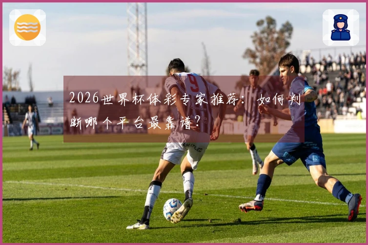 2026世界杯体彩专家推荐：如何判断哪个平台最靠谱？