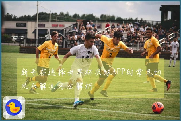 新手在选择世界杯买球APP时常见的坑和解决方法解析