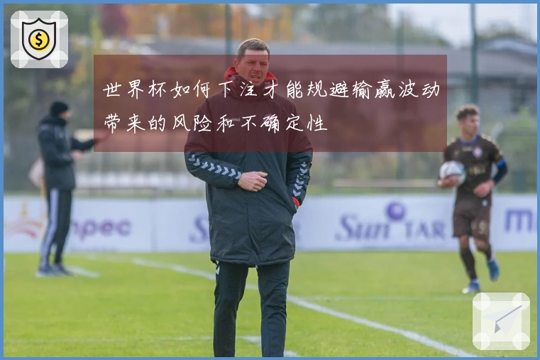 世界杯如何下注才能规避输赢波动带来的风险和不确定性