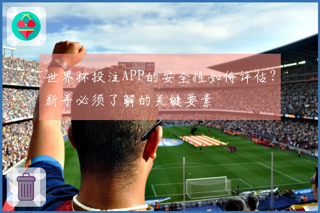 世界杯投注APP的安全性如何评估？新手必须了解的关键要素