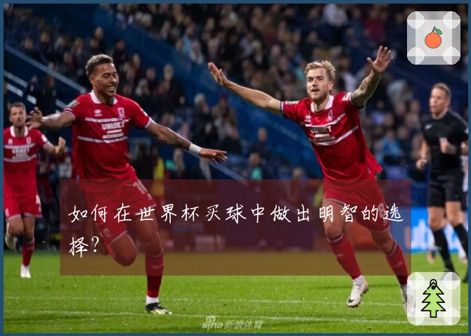 如何在世界杯买球中做出明智的选择?