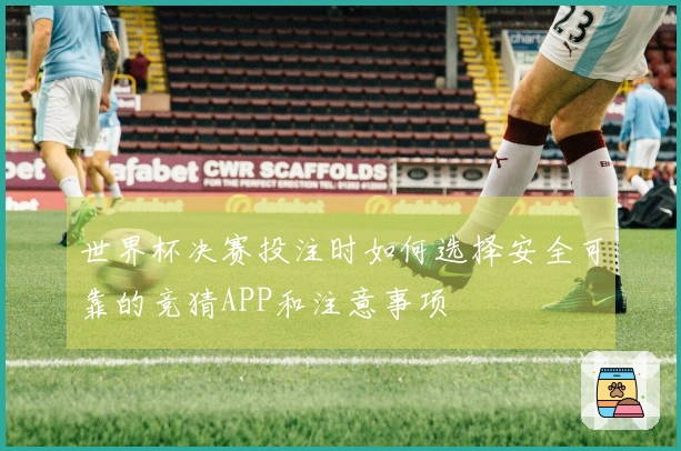 世界杯决赛投注时如何选择安全可靠的竞猜APP和注意事项