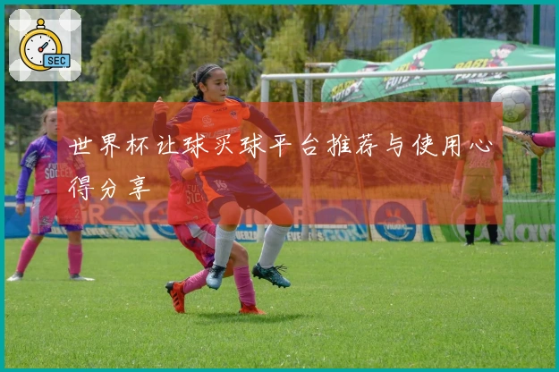 世界杯让球买球平台推荐与使用心得分享