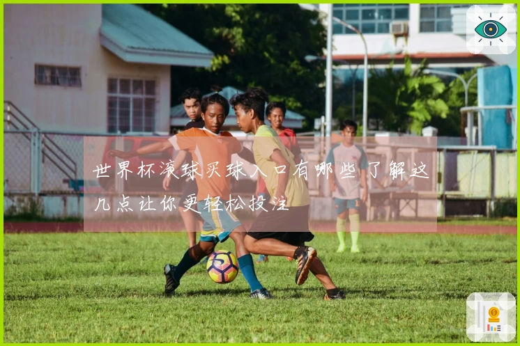 世界杯滚球买球入口有哪些 了解这几点让你更轻松投注