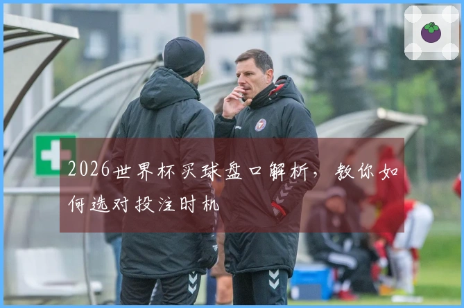 2026世界杯买球盘口解析,教你如何选对投注时机