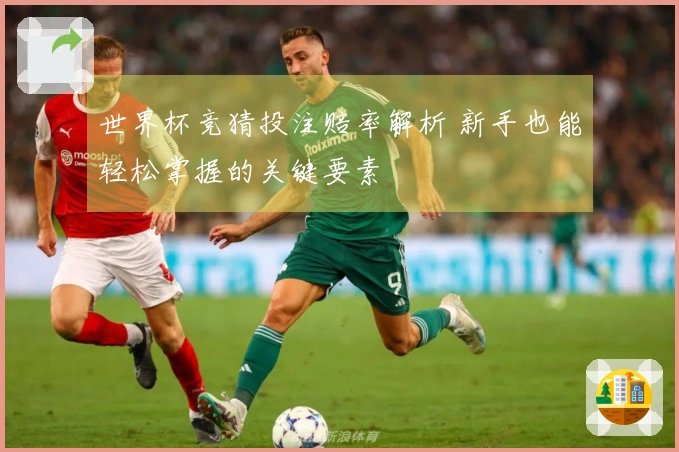 世界杯竞猜投注赔率解析 新手也能轻松掌握的关键要素