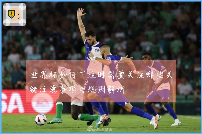 世界杯如何下注时需要关注哪些关键注意事项与规则解析