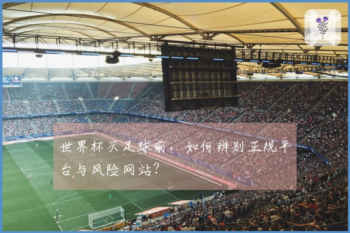 世界杯买足球前,如何辨别正规平台与风险网站?