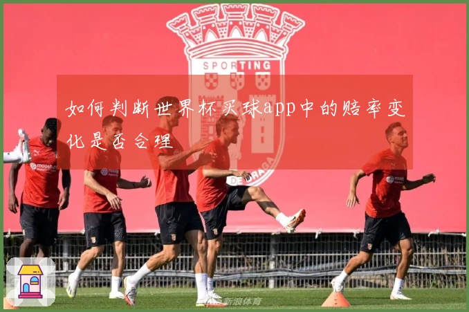 如何判断世界杯买球app中的赔率变化是否合理