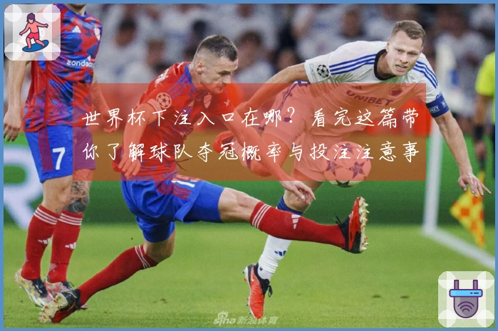 世界杯下注入口在哪？看完这篇带你了解球队夺冠概率与投注注意事项
