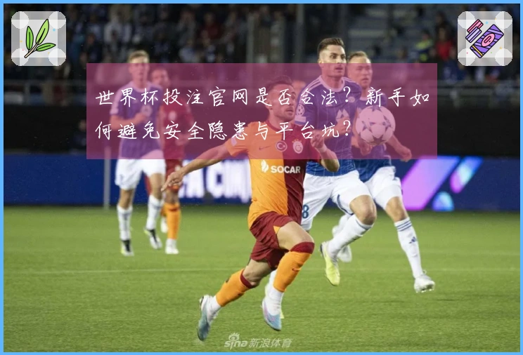 世界杯投注官网是否合法？新手如何避免安全隐患与平台坑？