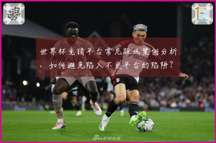 世界杯竞猜平台常见踩坑案例分析，如何避免陷入不良平台的陷阱？