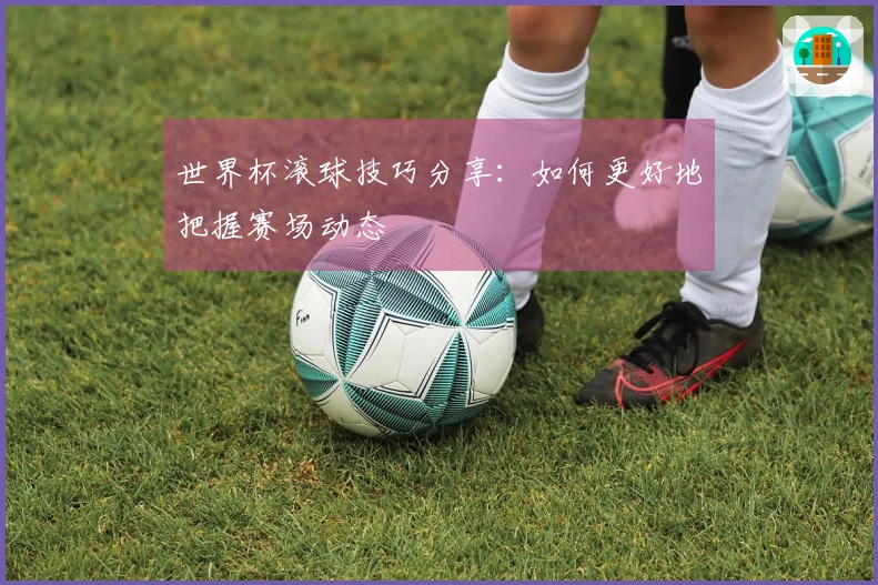 世界杯滚球技巧分享:如何更好地把握赛场动态