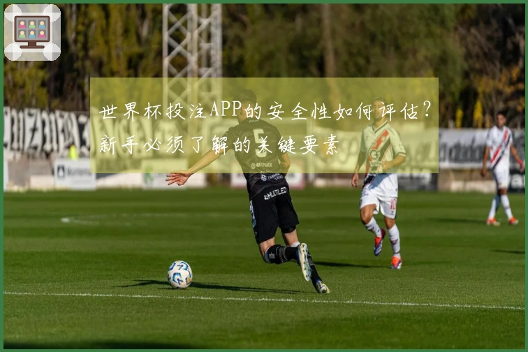 世界杯投注APP的安全性如何评估？新手必须了解的关键要素