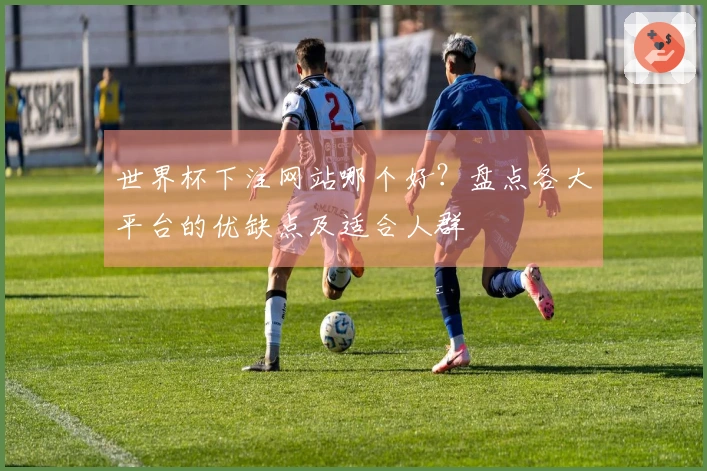 世界杯下注网站哪个好？盘点各大平台的优缺点及适合人群