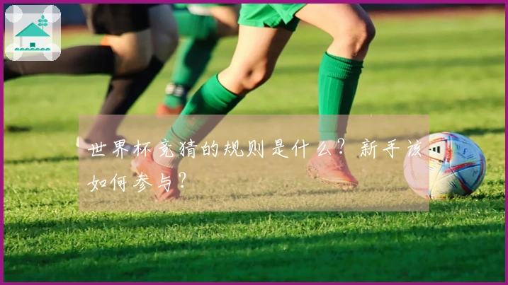 世界杯竞猜的规则是什么？新手该如何参与？