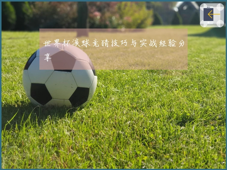 世界杯滚球竞猜技巧与实战经验分享