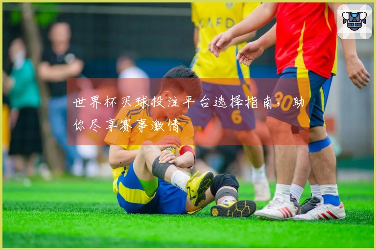 世界杯买球投注平台选择指南，助你尽享赛事激情
