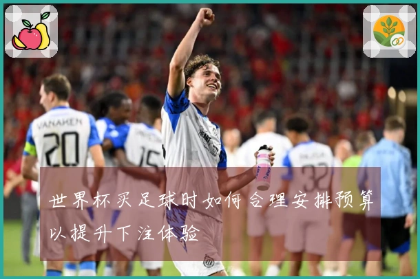 世界杯买足球时如何合理安排预算以提升下注体验