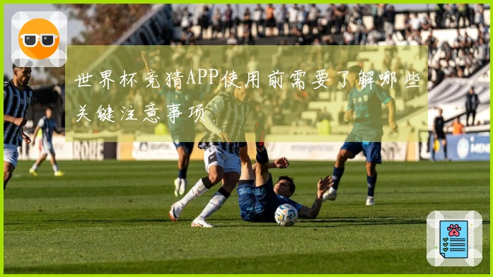 世界杯竞猜APP使用前需要了解哪些关键注意事项