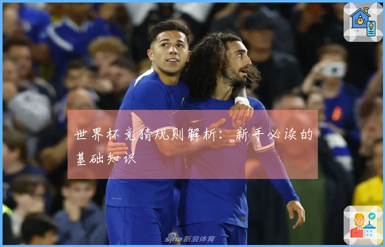 世界杯竞猜规则解析：新手必读的基础知识
