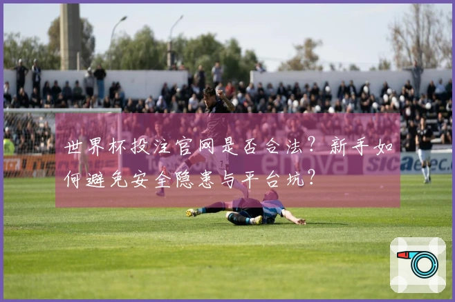 世界杯投注官网是否合法？新手如何避免安全隐患与平台坑？